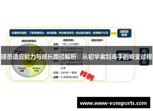 球员适应能力与成长路径解析:从初学者到高手的蜕变过程 球员适应能力与成长路径解析:从初学者到高手的蜕变过程