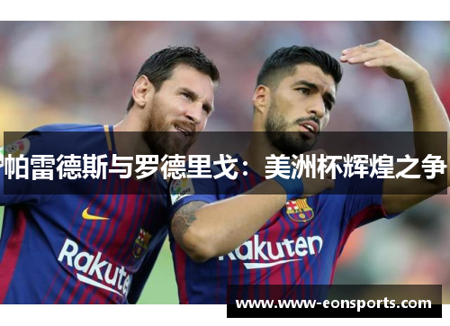 帕雷德斯与罗德里戈：美洲杯辉煌之争