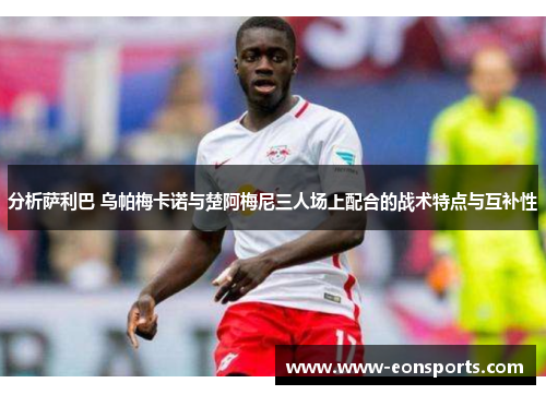 分析萨利巴 乌帕梅卡诺与楚阿梅尼三人场上配合的战术特点与互补性