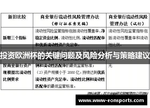 投资欧洲杯的关键问题及风险分析与策略建议