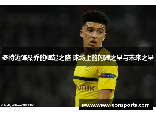 多特边锋桑乔的崛起之路 球场上的闪耀之星与未来之星