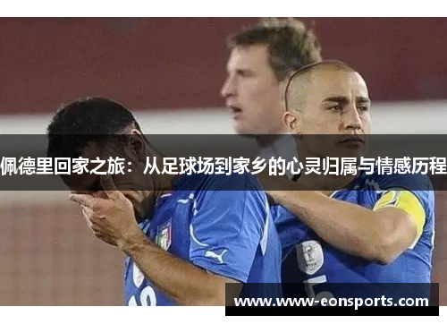 佩德里回家之旅：从足球场到家乡的心灵归属与情感历程