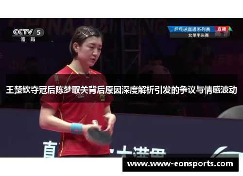 王楚钦夺冠后陈梦取关背后原因深度解析引发的争议与情感波动