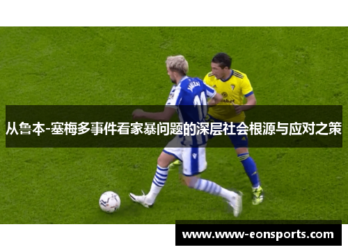 从鲁本-塞梅多事件看家暴问题的深层社会根源与应对之策