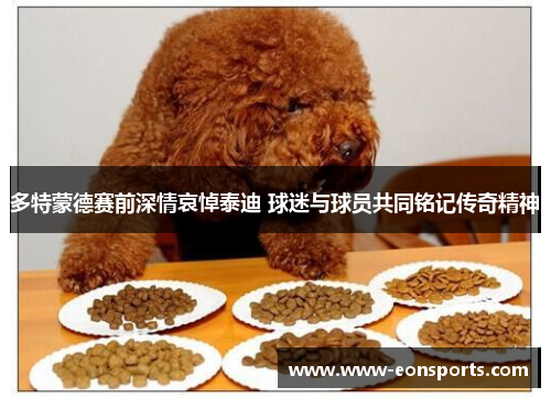 多特蒙德赛前深情哀悼泰迪 球迷与球员共同铭记传奇精神