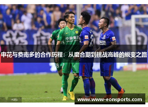 申花与费南多的合作历程：从磨合期到挑战高峰的蜕变之路