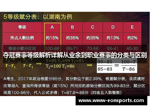 夺冠赛事等级解析详解从业余到职业赛事的分类与区别