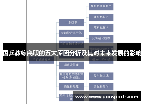 国乒教练离职的五大原因分析及其对未来发展的影响