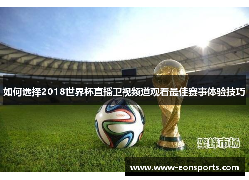 如何选择2018世界杯直播卫视频道观看最佳赛事体验技巧