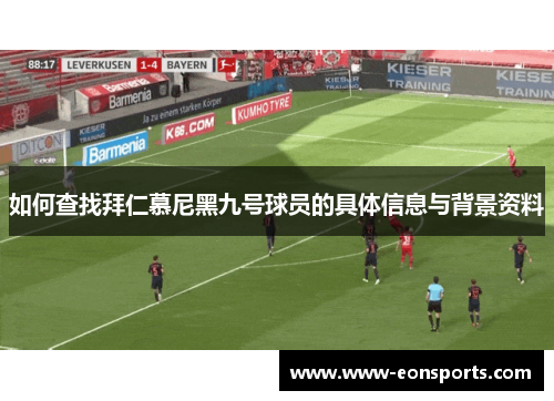 如何查找拜仁慕尼黑九号球员的具体信息与背景资料